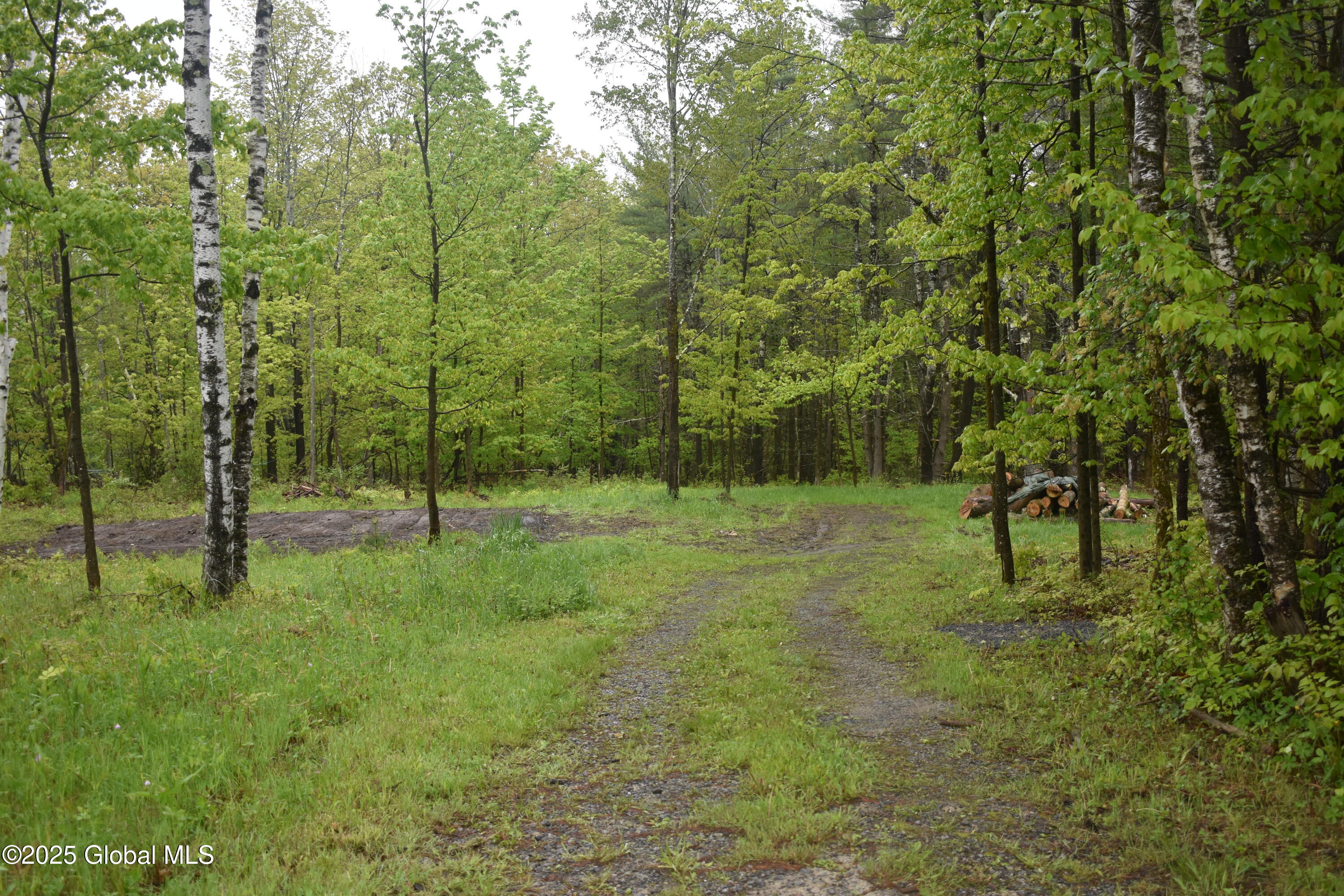 108.-2-2 Posson Hill Road, Middleburgh, New York image 3