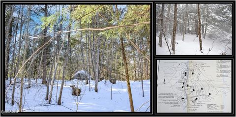 Photo of 37 Carriage Knolls Road, Chestertown, NY 12817 (MLS # 202611054)