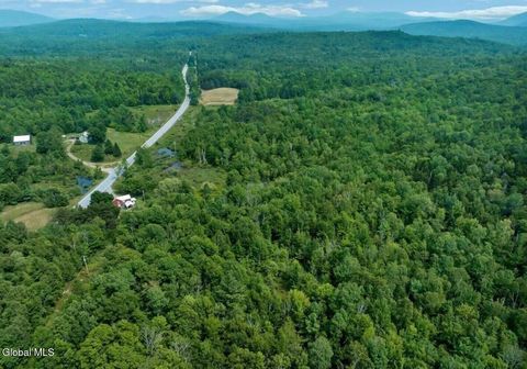 Vacant Land For Sale - L1-12 Ny-8<br/> Johnsburg, NY 12843