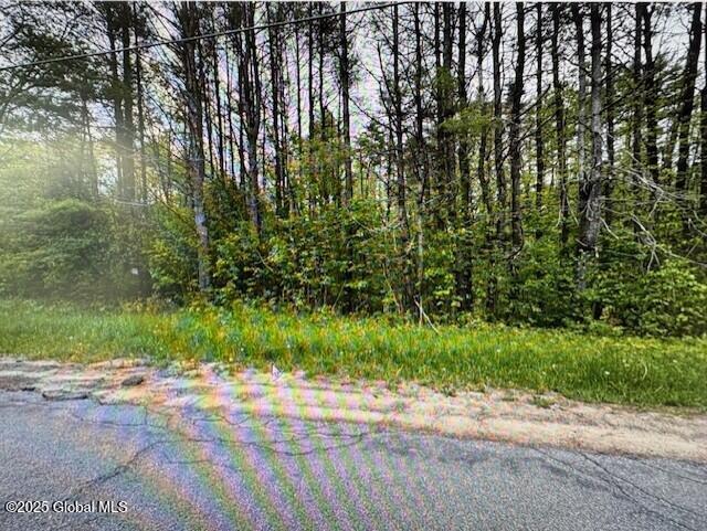 L 9.1 Cape Horn Road, Johnstown, New York image 1