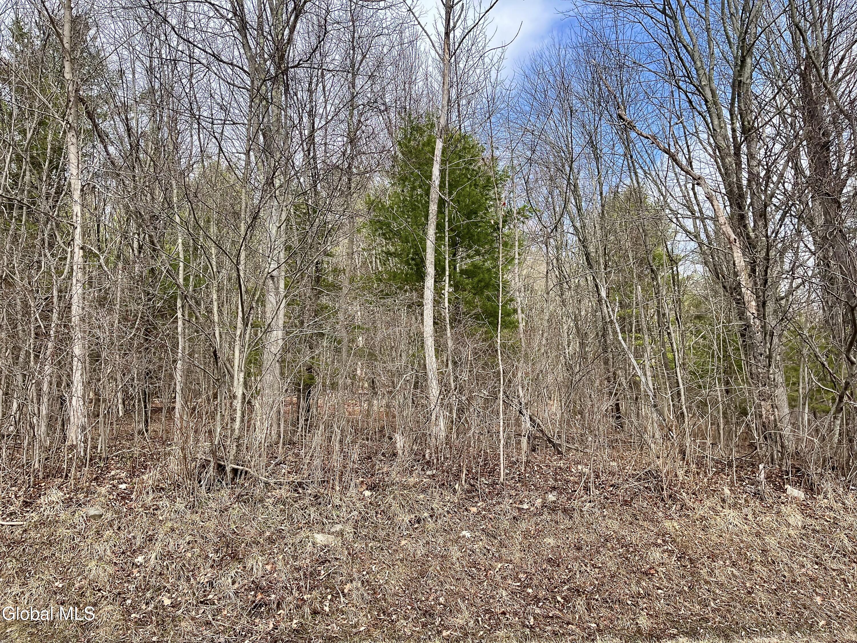 L4.22 Sagendorf Road