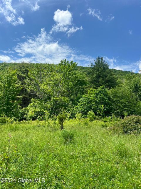 Vacant Land For Sale - L5.126 Tae Kwon Road<br/> North Blenheim, NY 12131