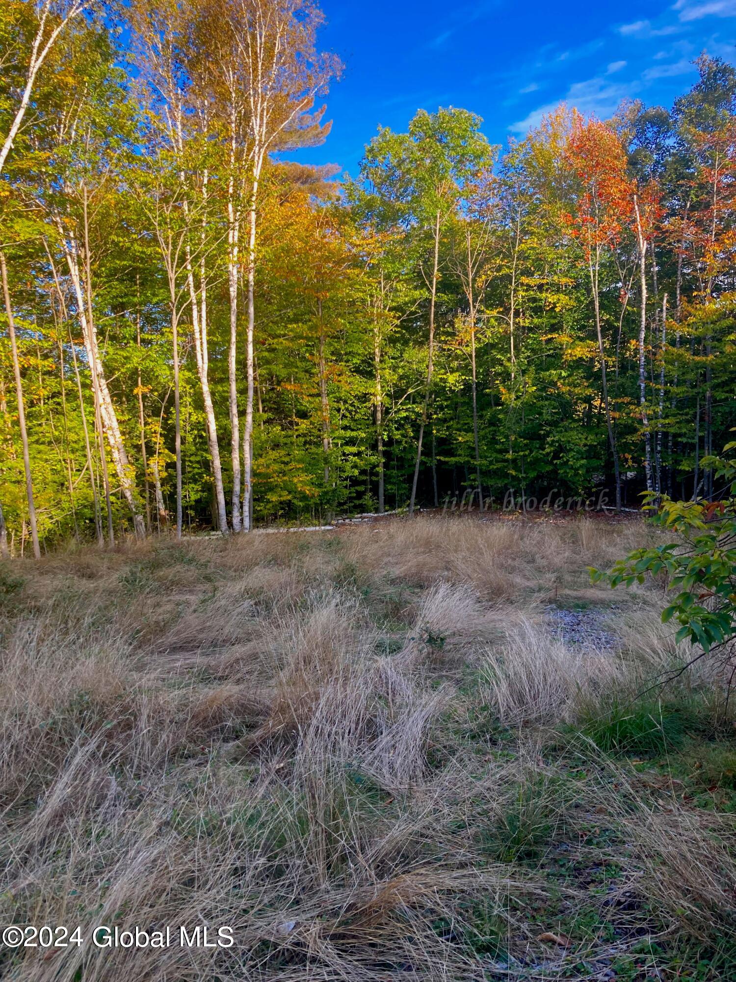 30 Mohican Trail, North Creek, New York image 1