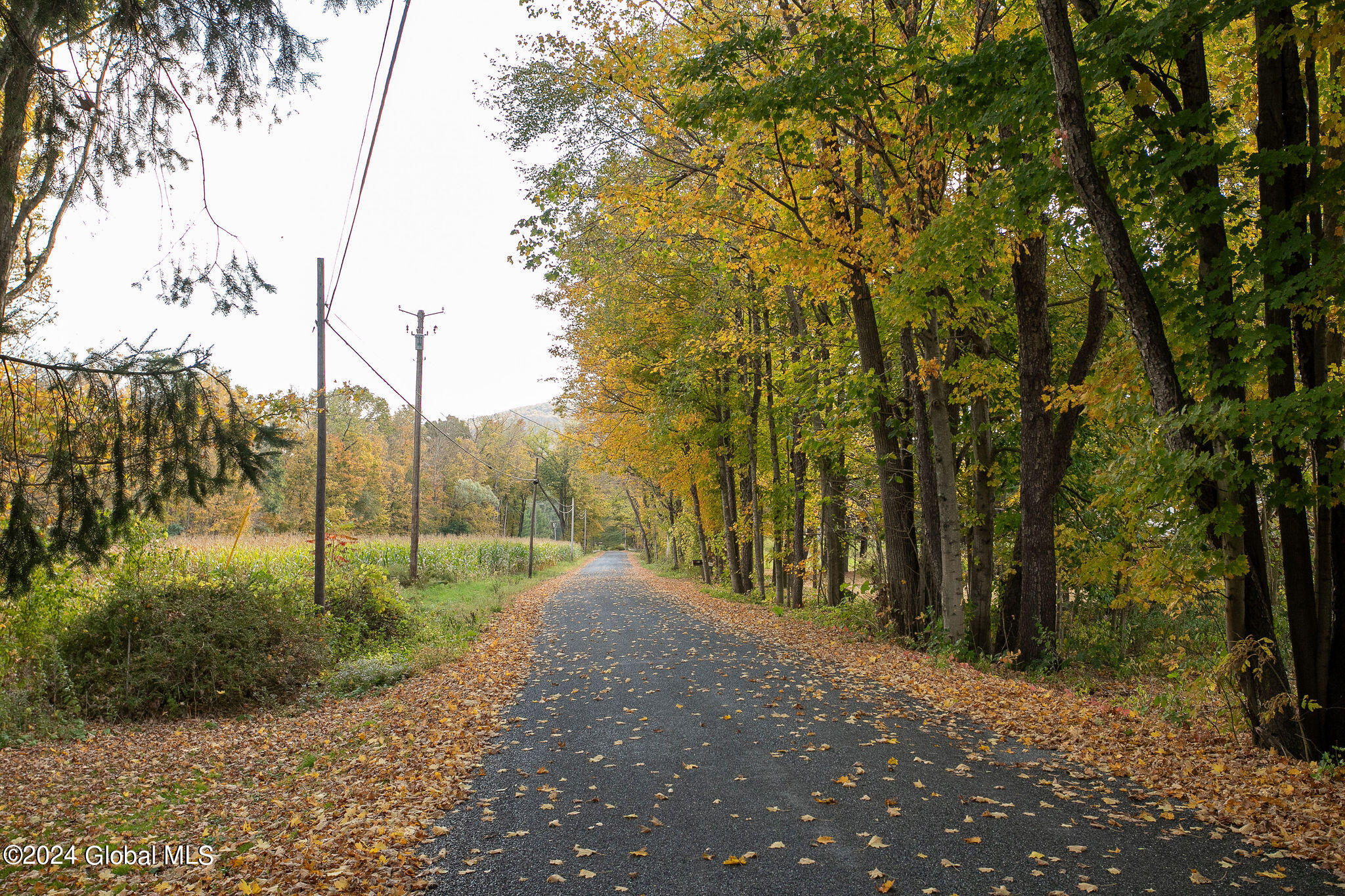 7 Goodrich Hollow Road, Stephentown, New York image 7