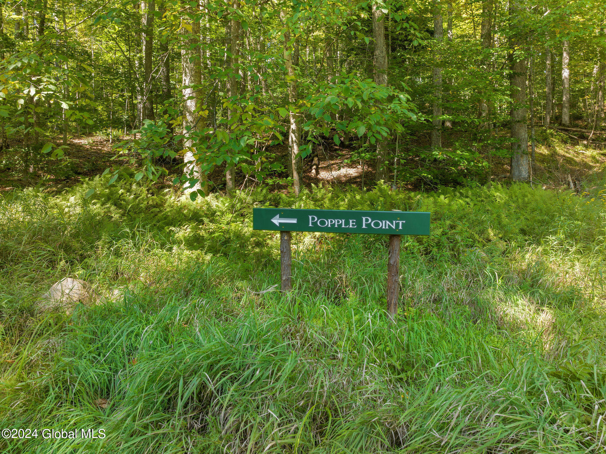 357 Popple Point Pt, Blue Mountain Lake, New York image 16