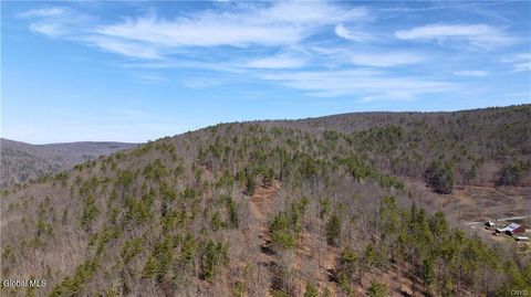 Photo of 285 Patria Road, Warnerville, NY 12187 (MLS # 202614930)