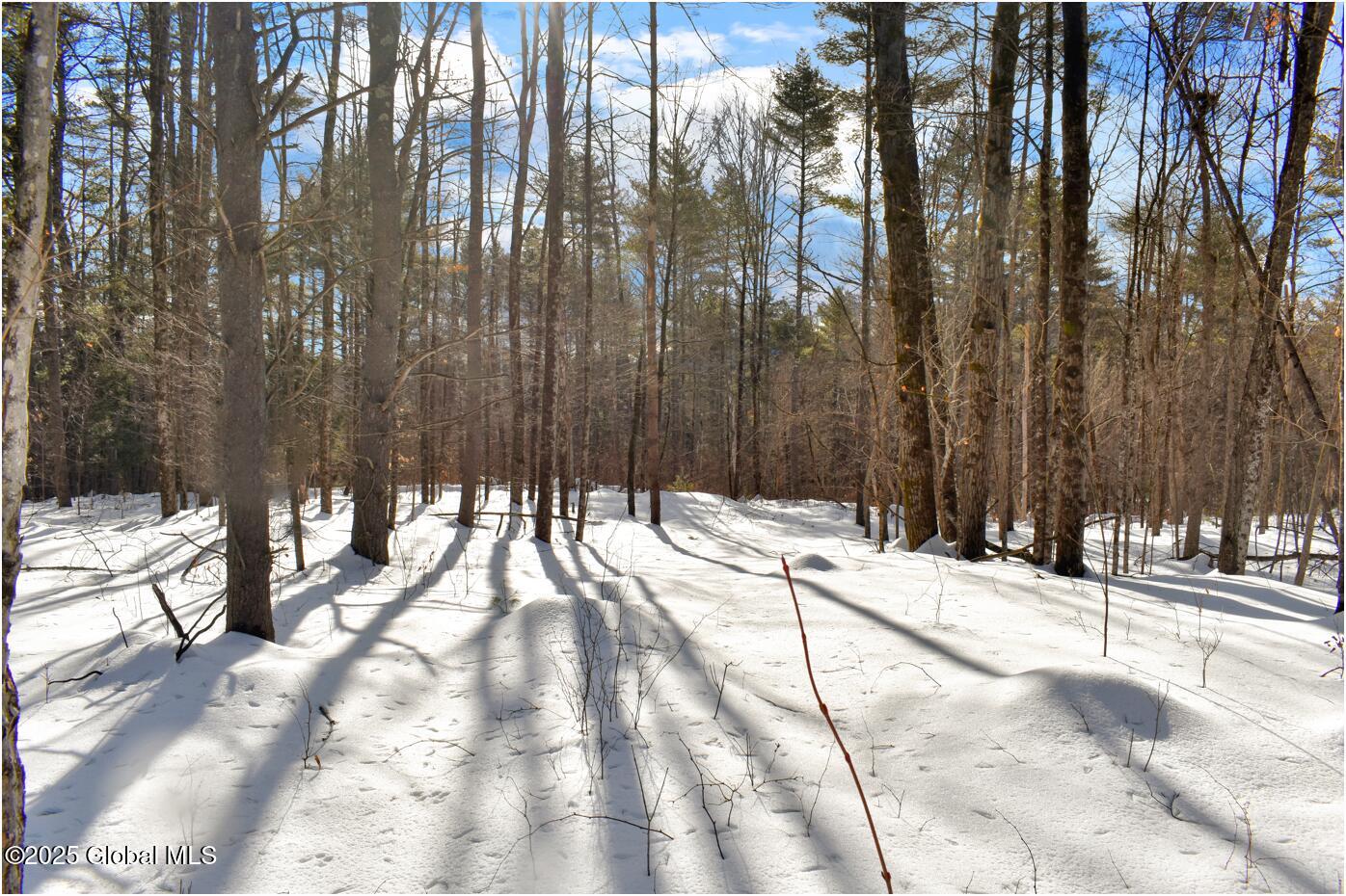 L92 Highview Lane #LOT 8, Wevertown, New York image 6