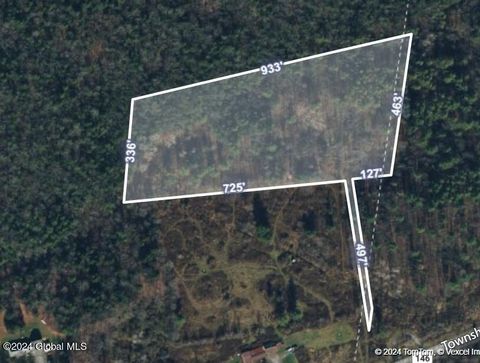 Vacant Land For Sale - L14 State Route 146 & Township Rd<br/> Delanson, NY 12023