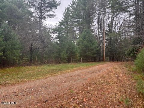 Vacant Land For Sale - 15 Deer Run<br/> Chestertown, NY 12817