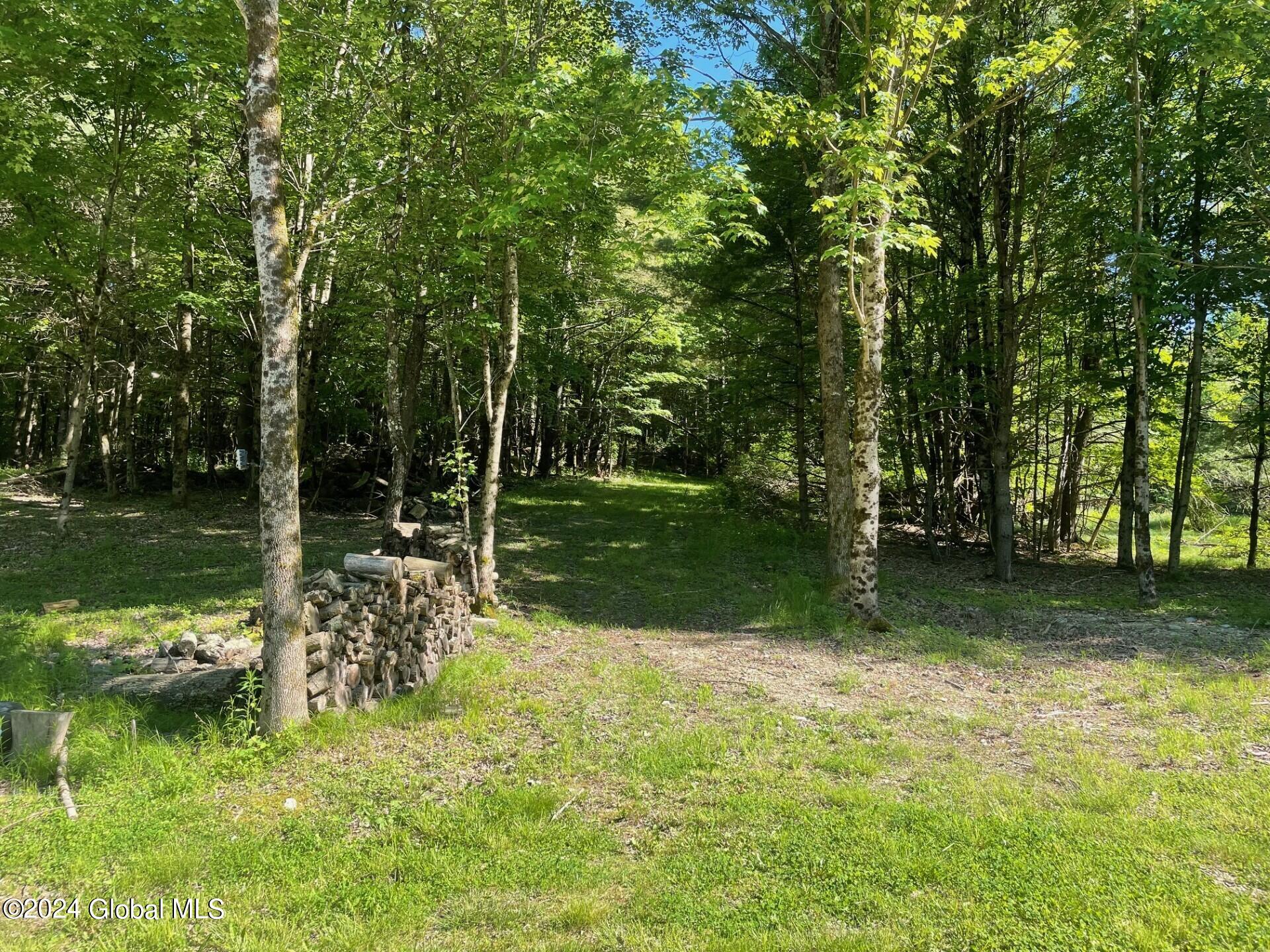 838 County Route 61 Road #LOT  7, Shushan, New York image 8