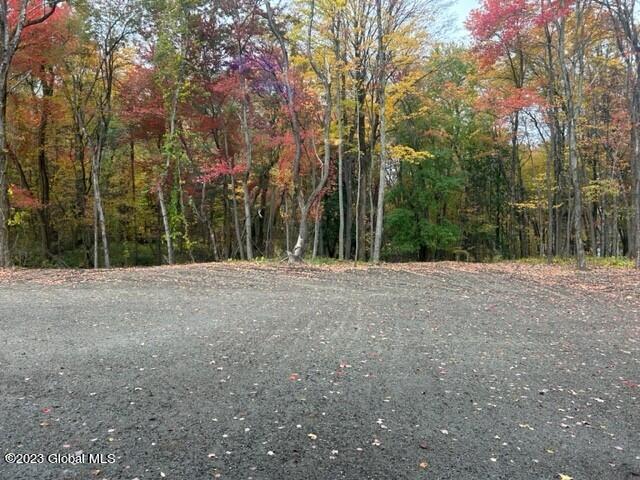 568 Nys 355 Cooper Hill Rd, Wynantskill, New York image 15