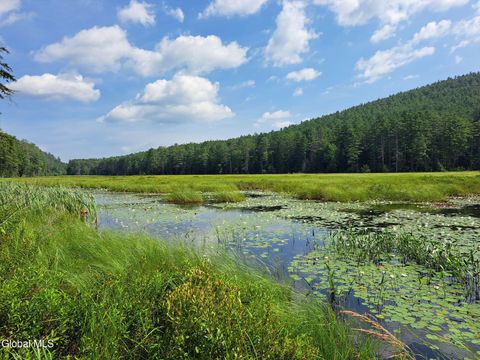 Vacant Land For Sale - L 15.1 Ny-28<br/> Warrensburg, NY 12885
