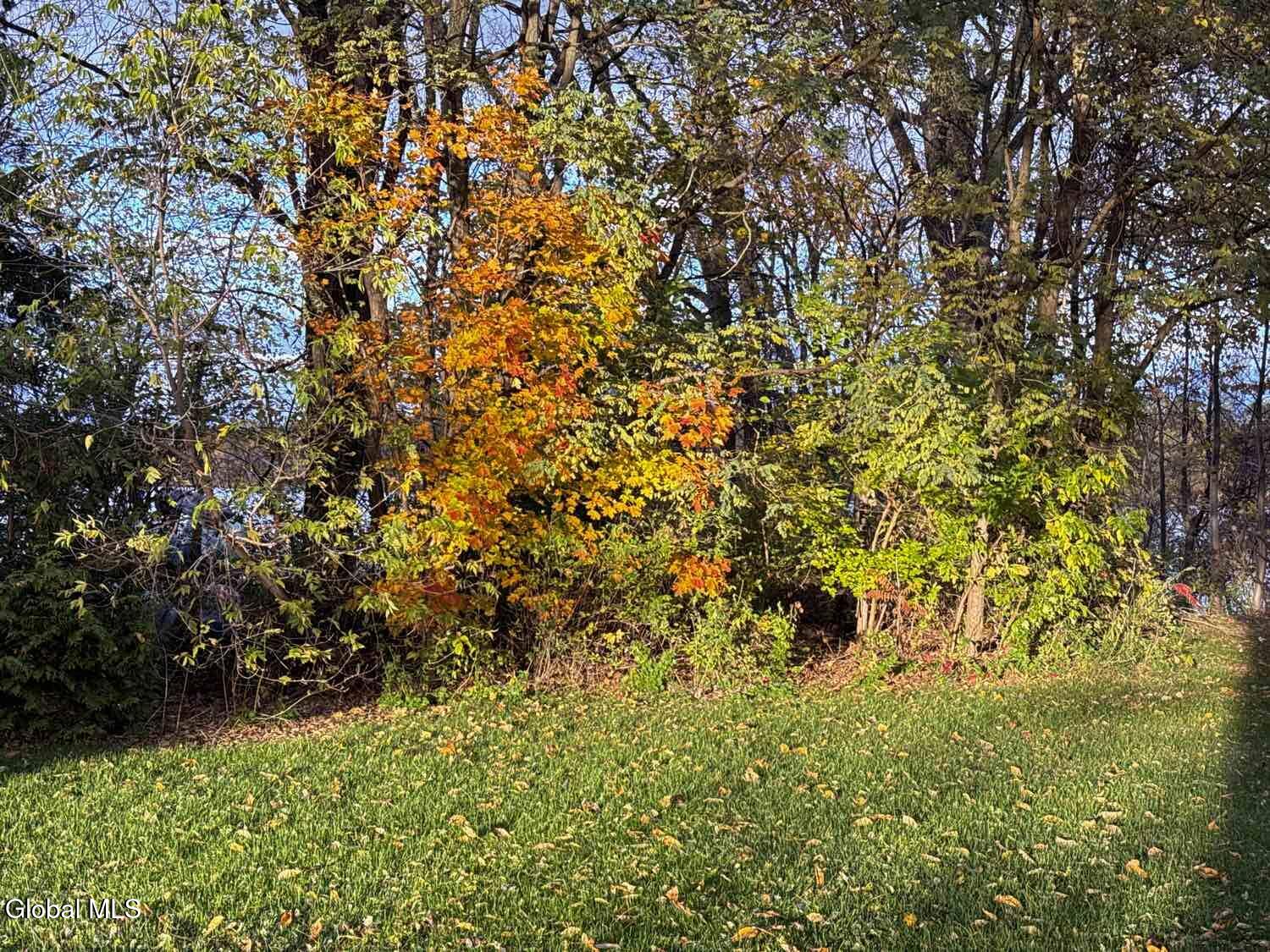 15 Champlain Shores Way