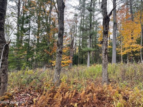 Vacant Land For Sale - L47.2 Mallon Road<br/> Essex County, Minerva, NY 12857