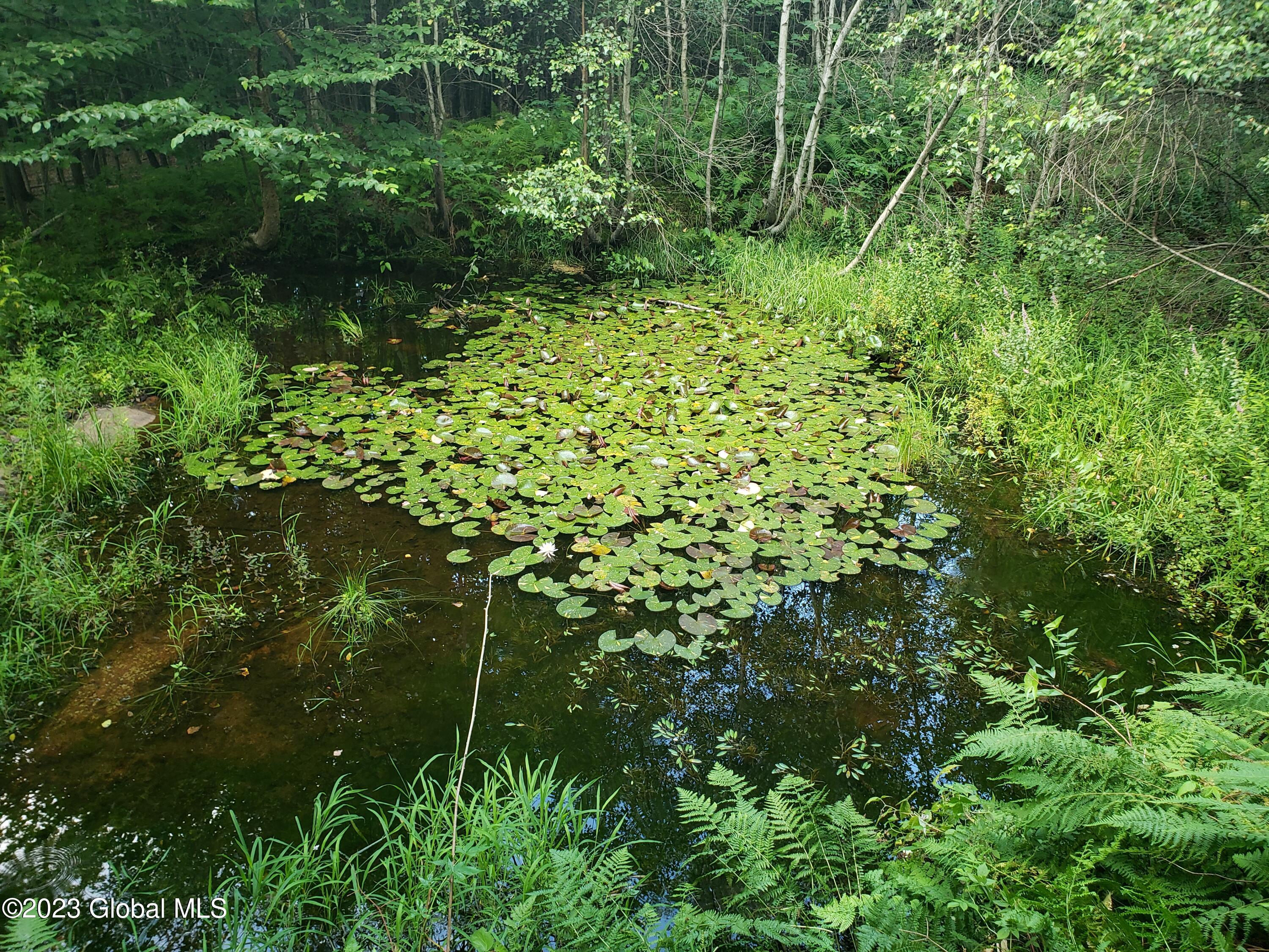 110 Stone Road, Malone, New York image 18