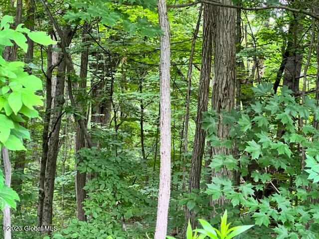 Lot 2 Mcgregor Road, Gloversville, New York image 6