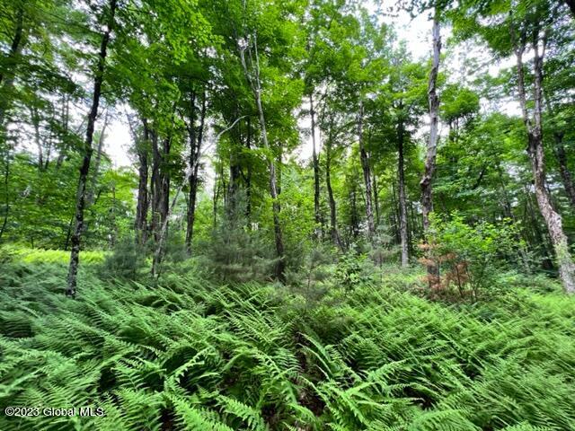 Lot 2 Mcgregor Road, Gloversville, New York image 2