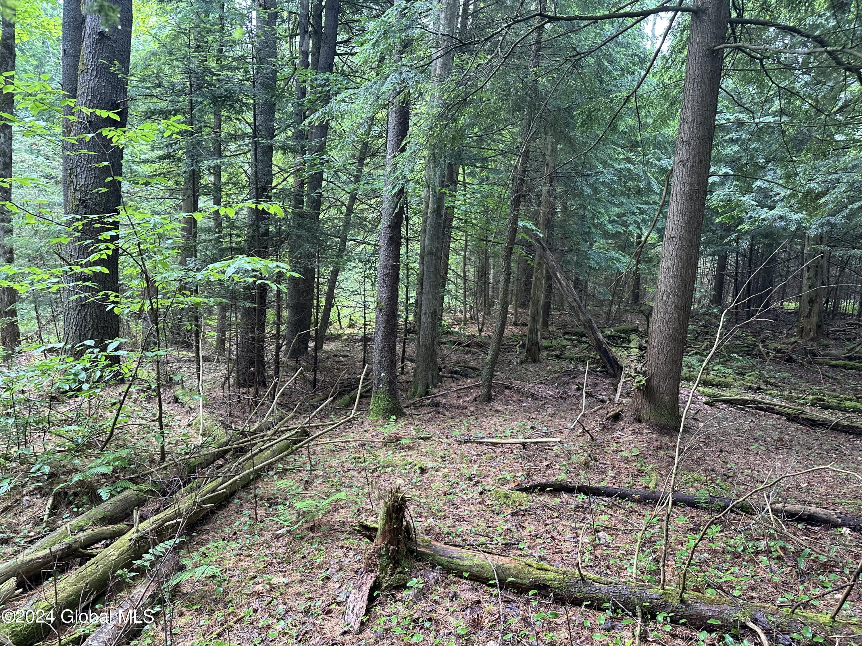 View Edinburg, NY 12134 land