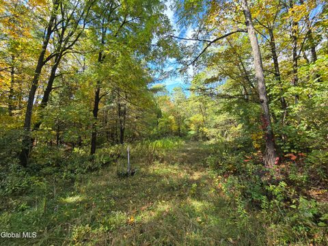 Vacant Land For Sale - 355 Grange Road<br/> Greenfield Center, NY 12833