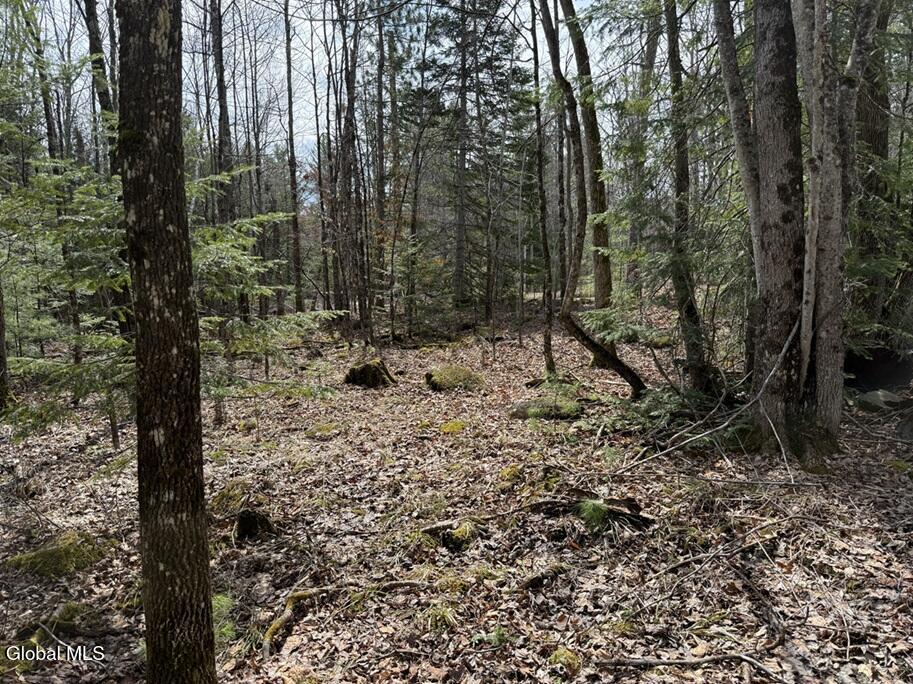 L34.3 Youngs Road #3