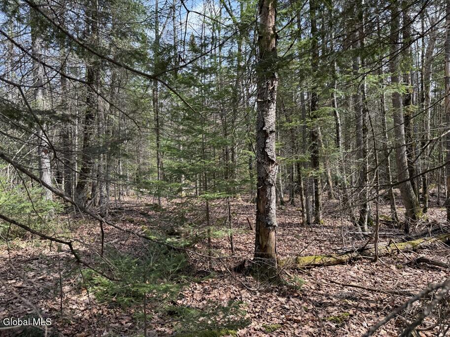 L34.3 Youngs Road #3