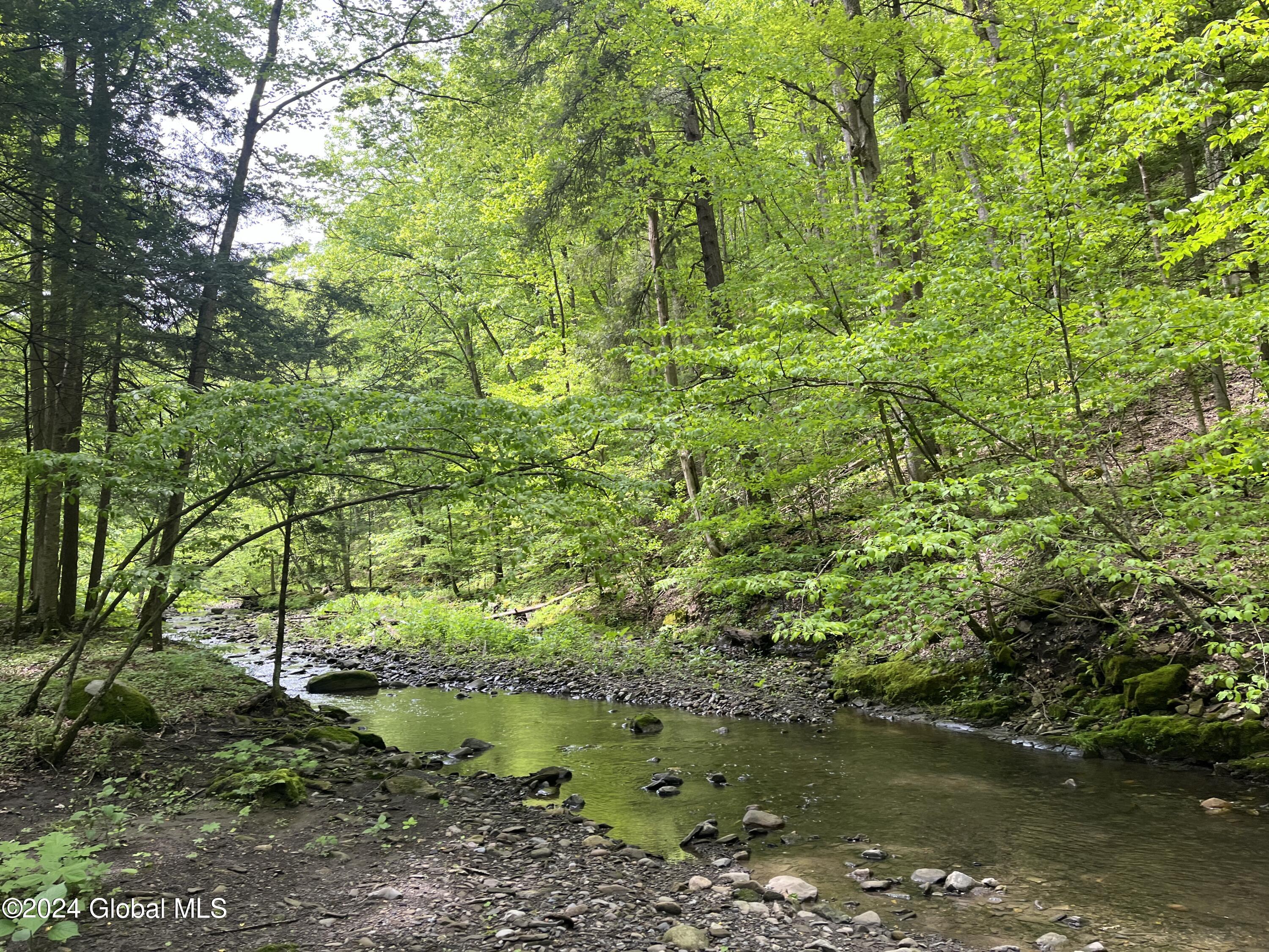 Klemme Road, Sprakers, New York image 8