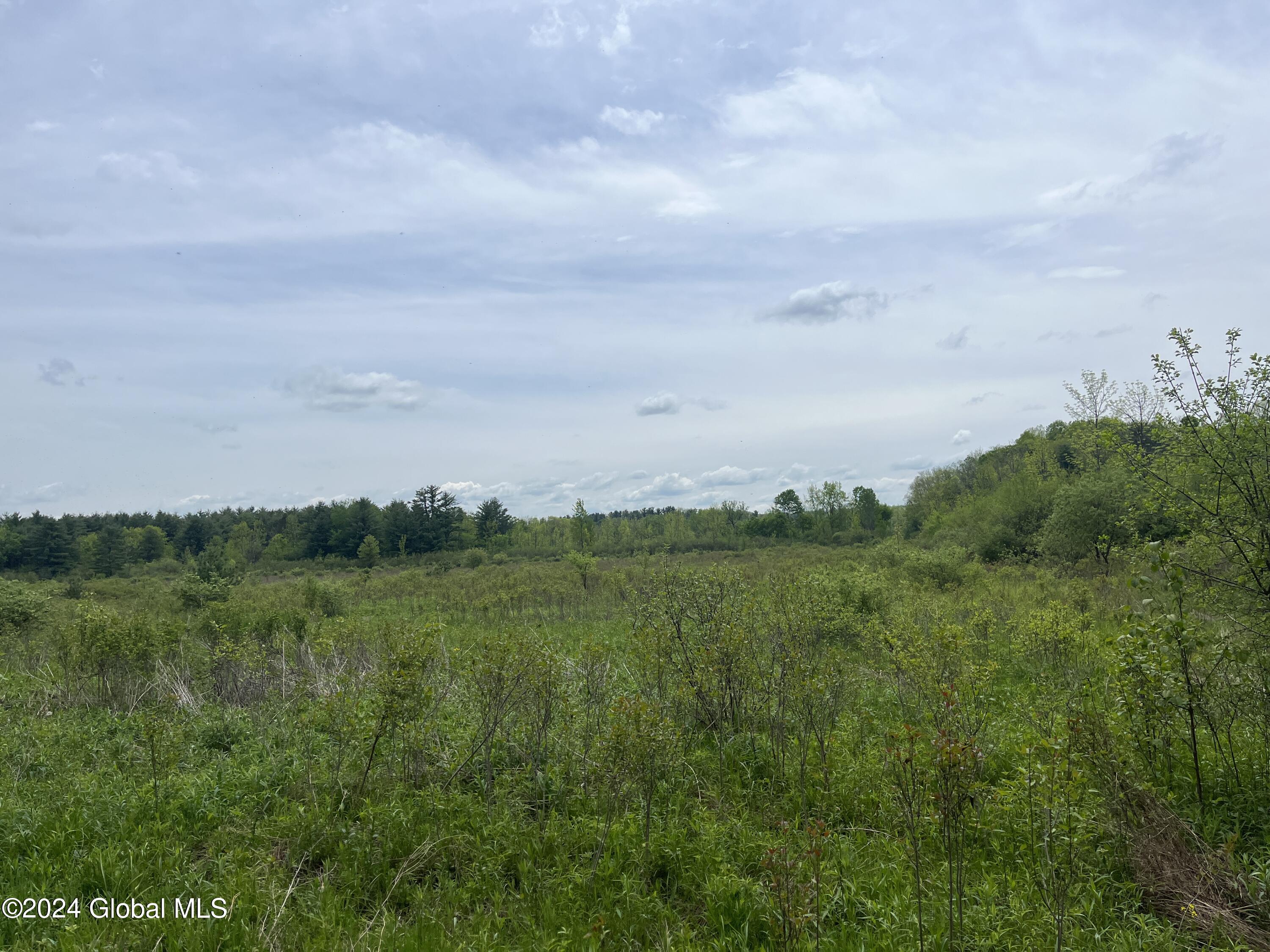 Klemme Road, Sprakers, New York image 9