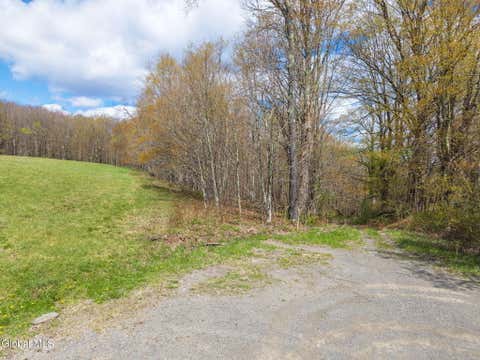 Vacant Land For Sale - L25 Fuller District Road<br/> Jefferson, NY 12093