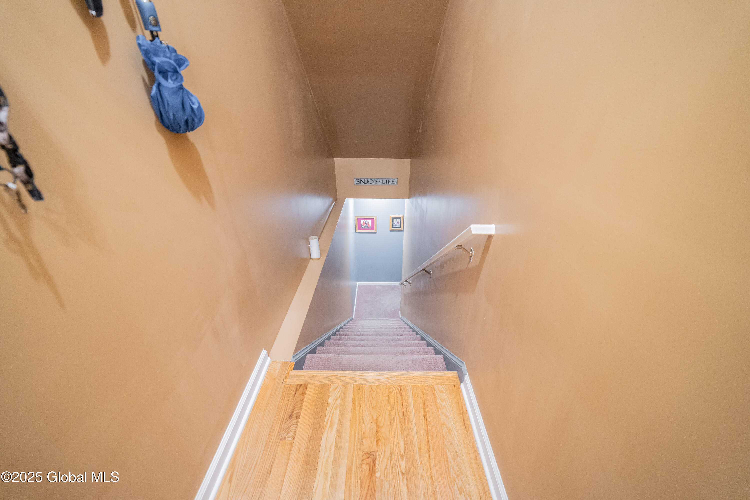 5 Bryn Mawr Court, Albany, New York image 18