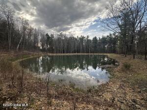138 Lydon Lane, Hannacroix, New York image 13