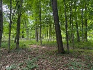 Photo of 5 Frasier Road, Greenfield Center, NY 12833 (MLS # 202623144)