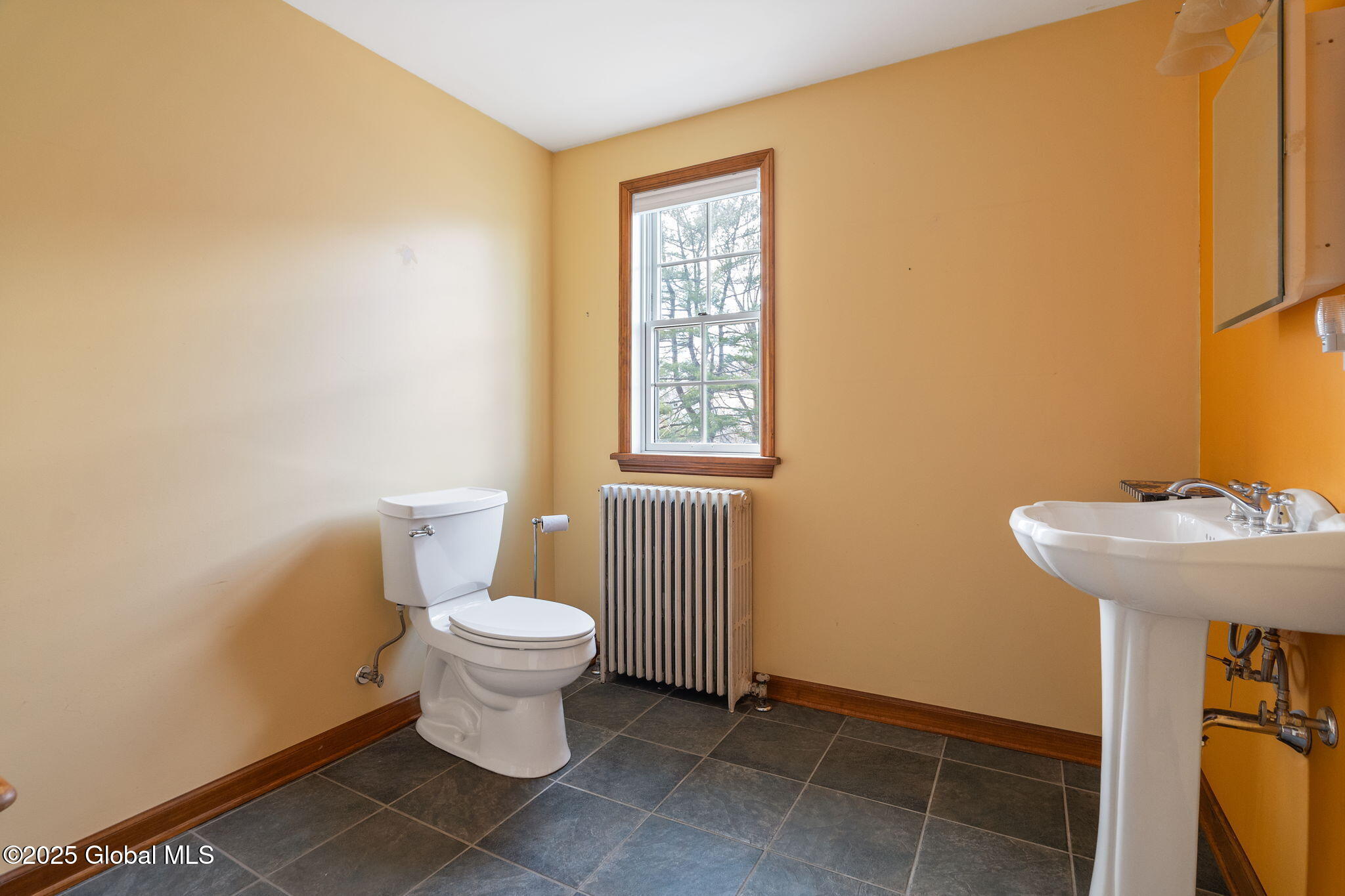 4 Arcadia Avenue, Albany, New York image 30