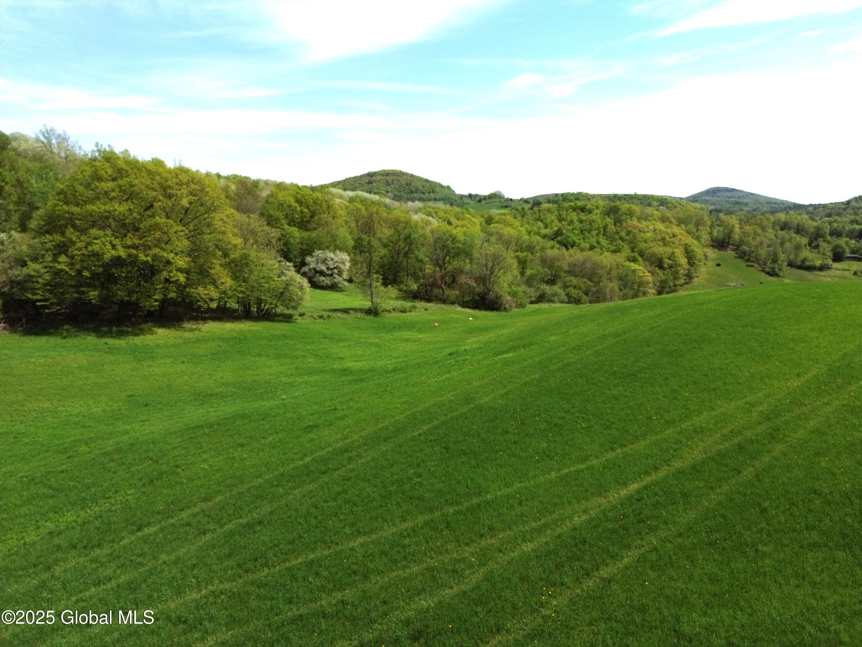 L4.2 State Route 372, Greenwich, New York image 9