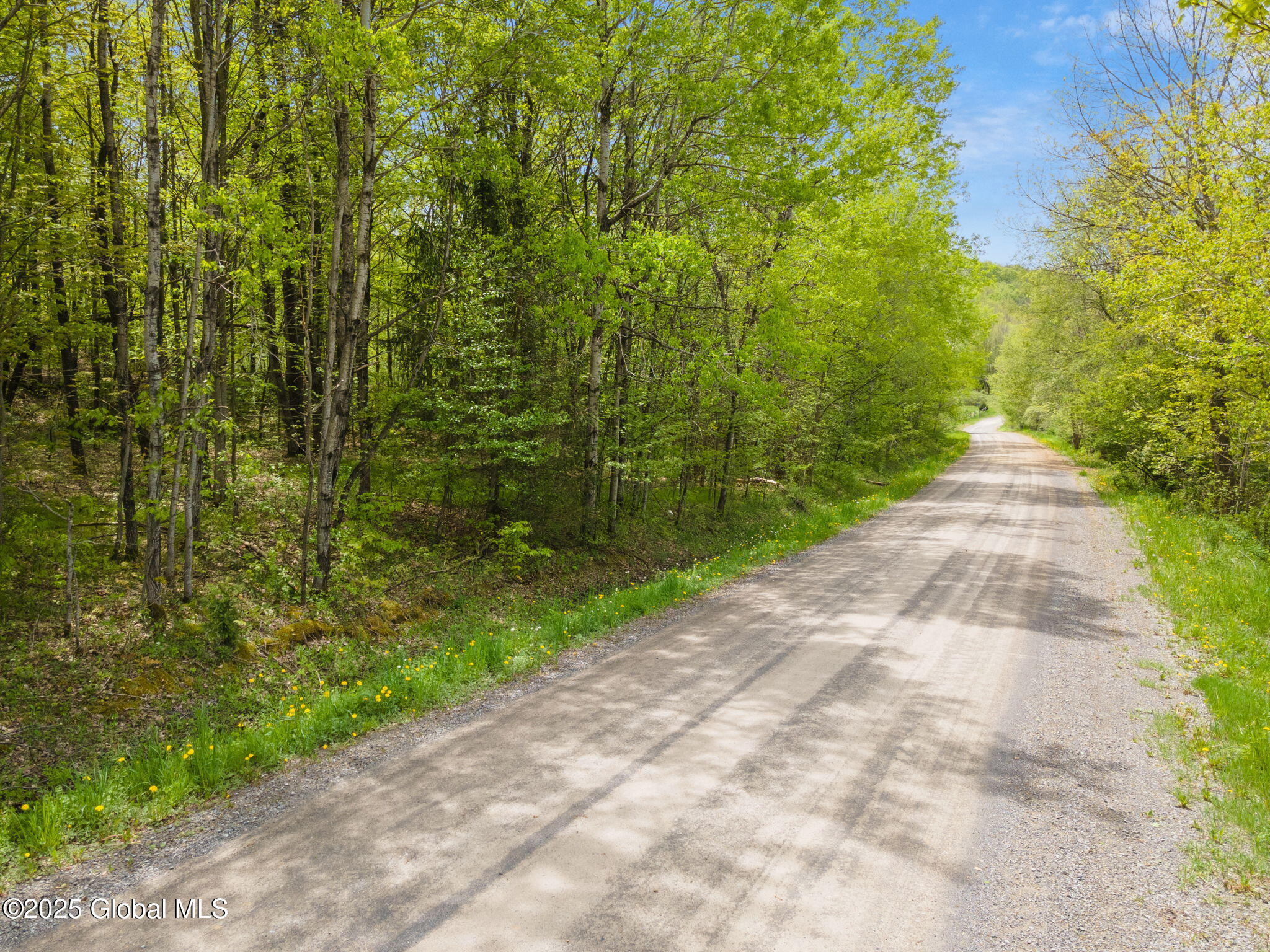 L11 Sternberg Road, Jefferson, New York image 3