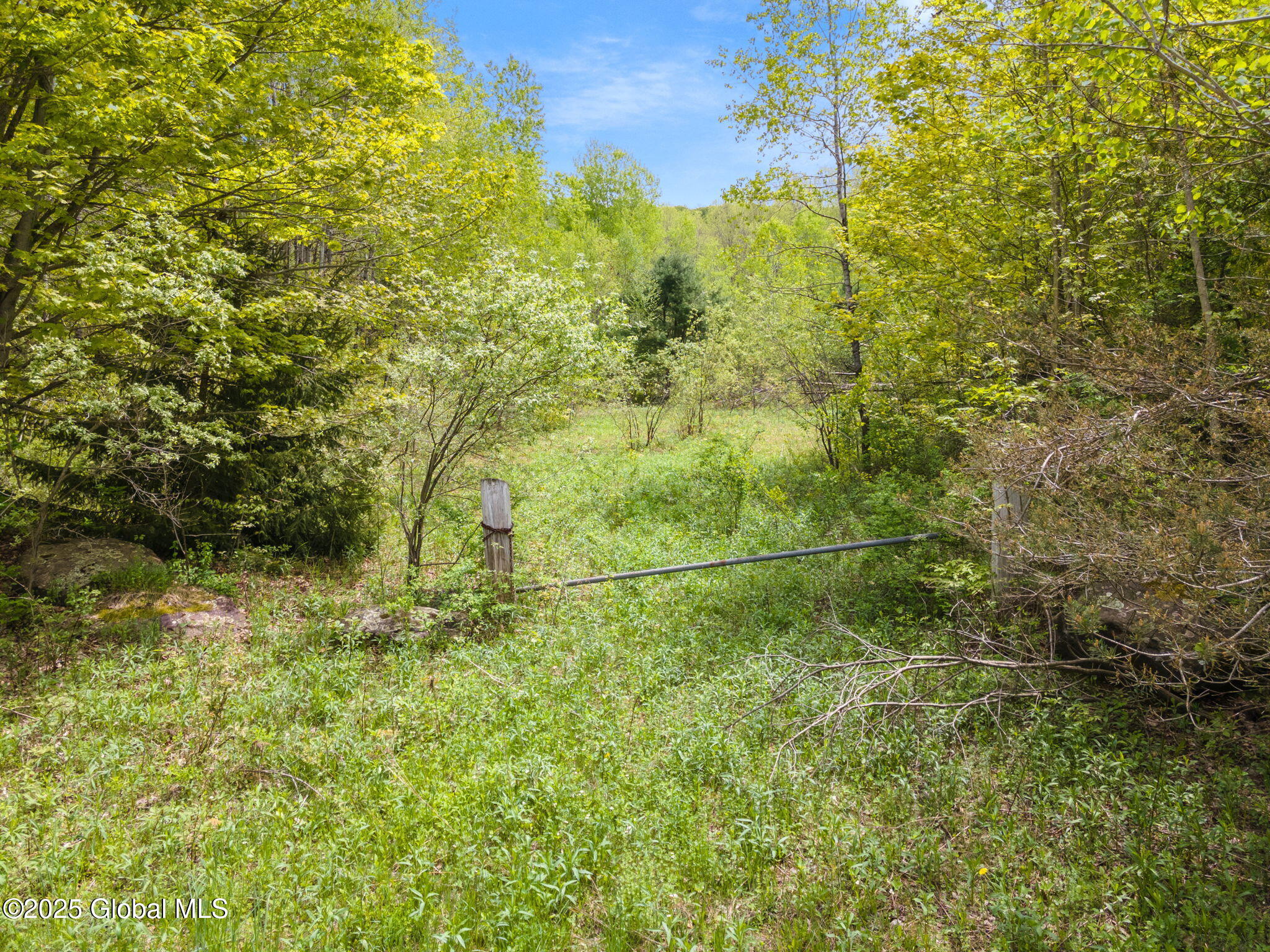 L11 Sternberg Road, Jefferson, New York image 4