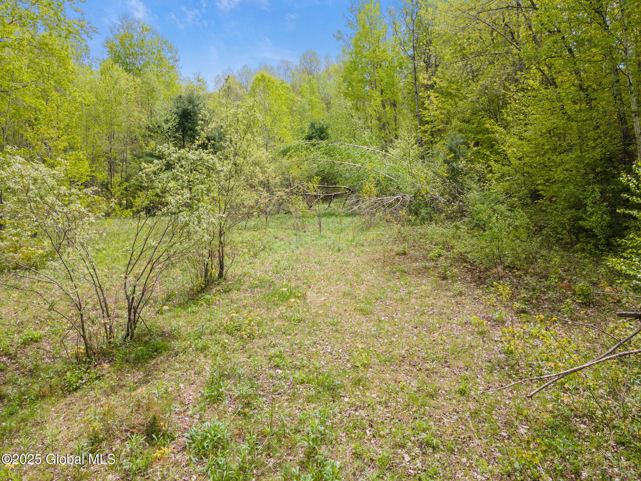 L11 Sternberg Road, Jefferson, New York image 2
