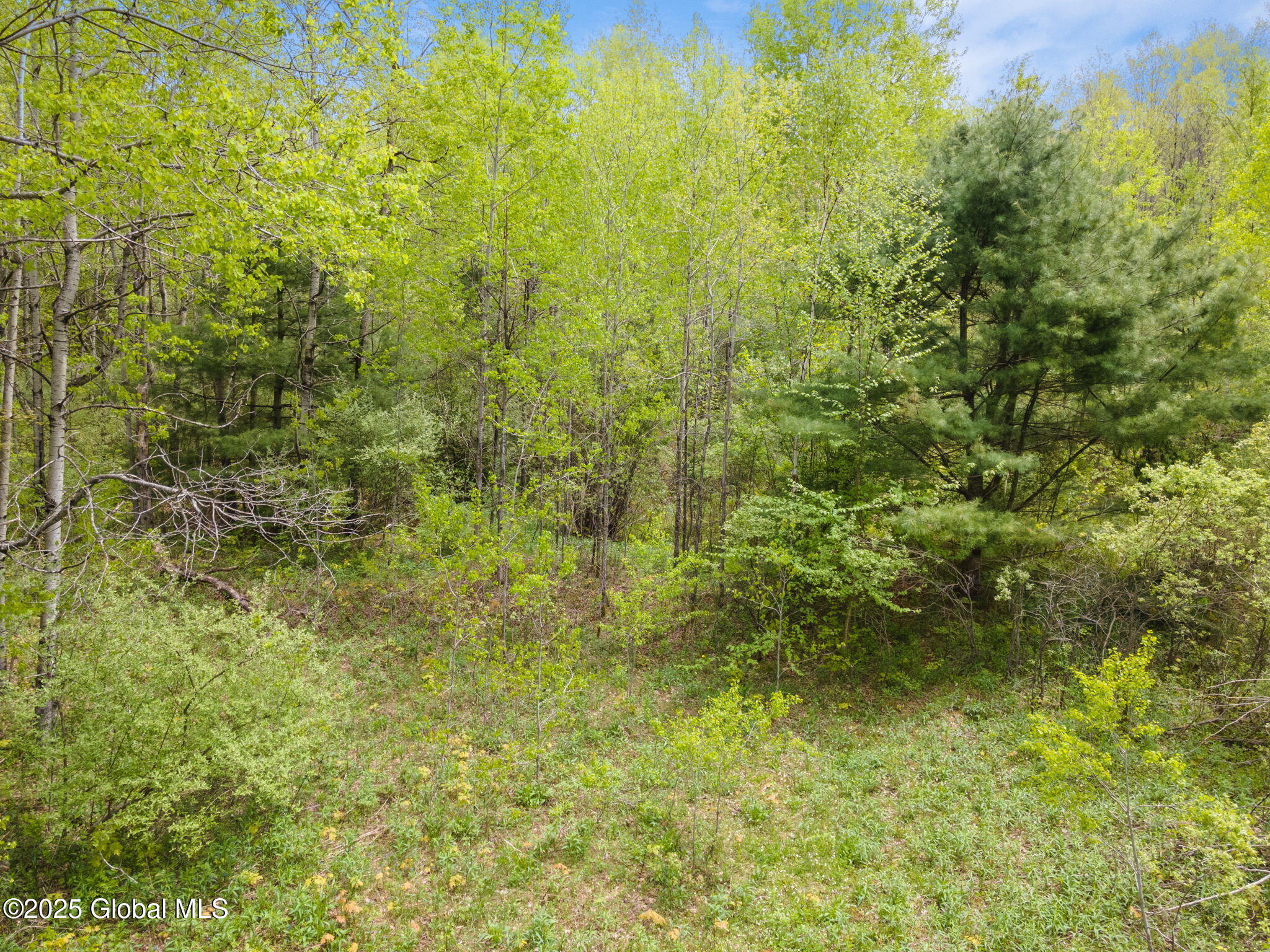 L11 Sternberg Road, Jefferson, New York image 6