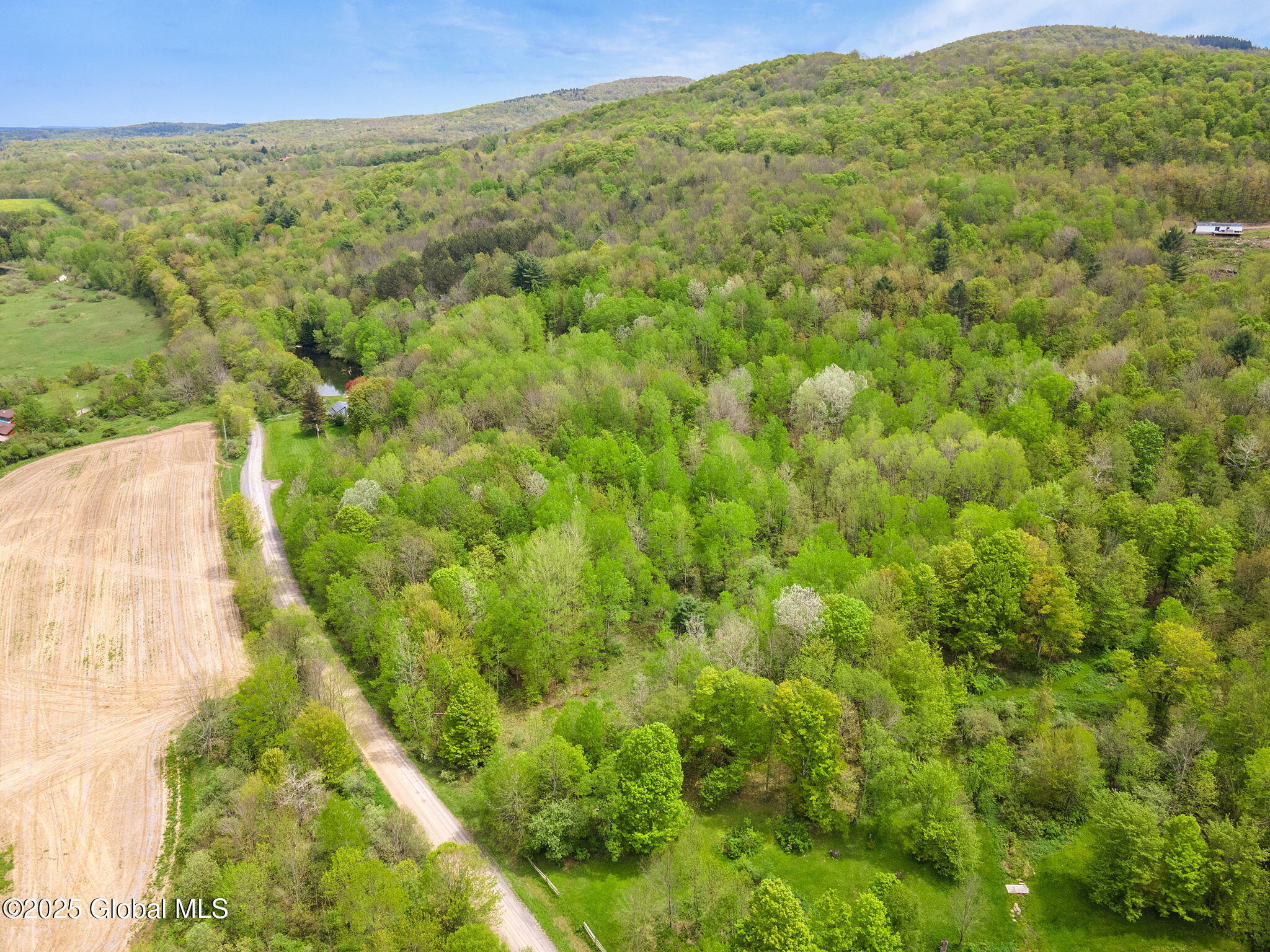 L11 Sternberg Road, Jefferson, New York image 11