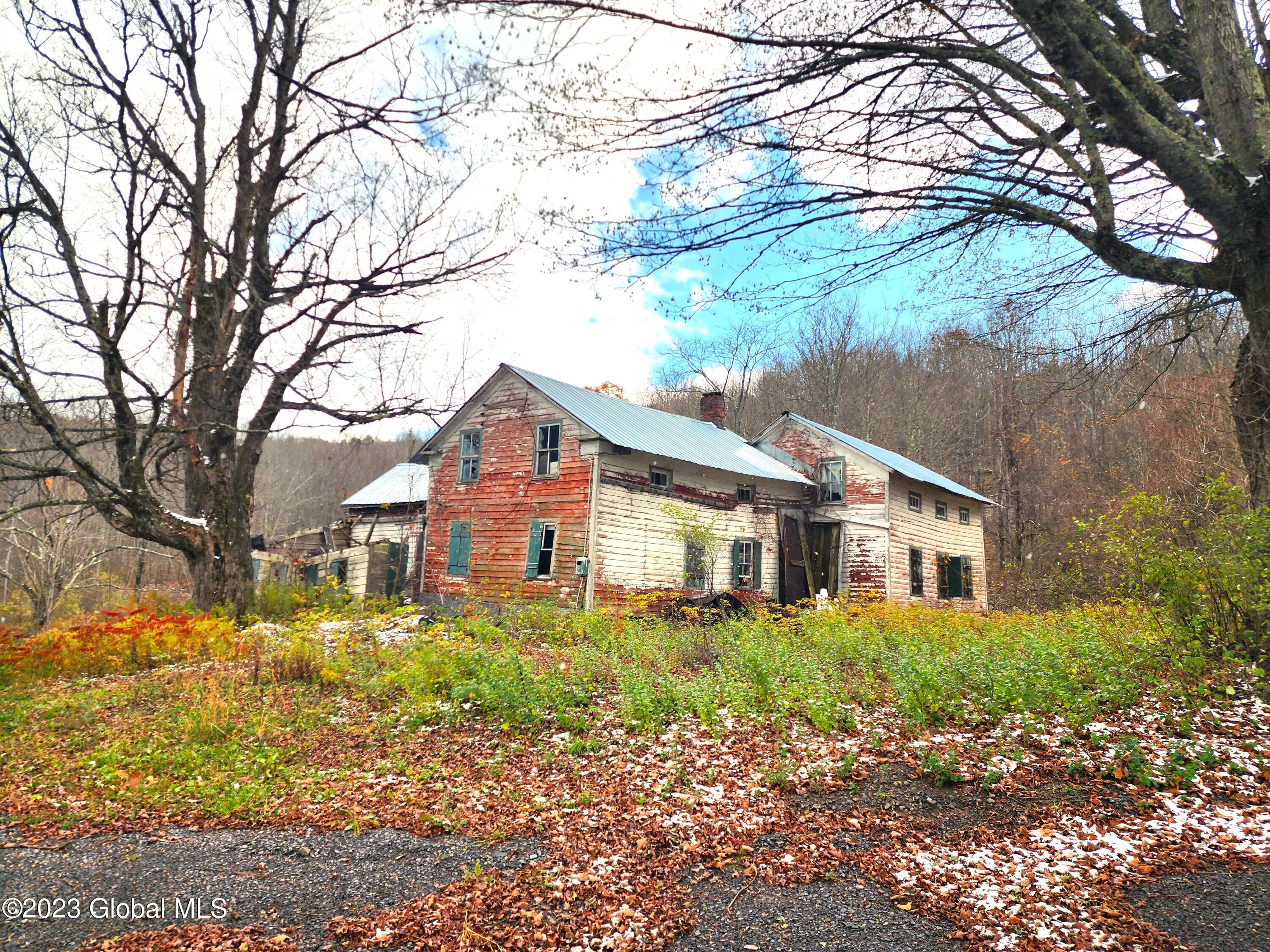 172 Mace Hill Road, Middleburgh, New York image 1