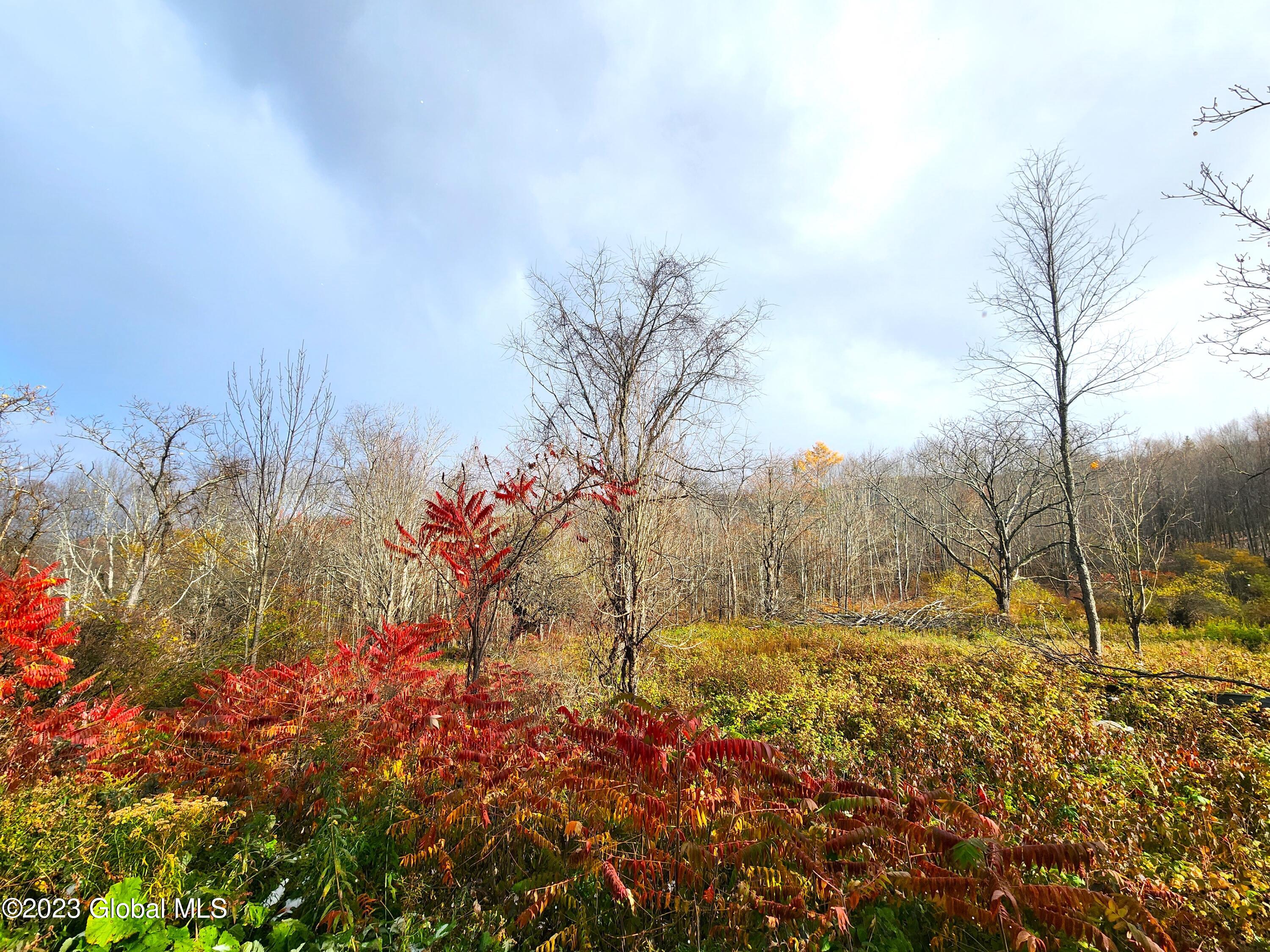 172 Mace Hill Road, Middleburgh, New York image 11