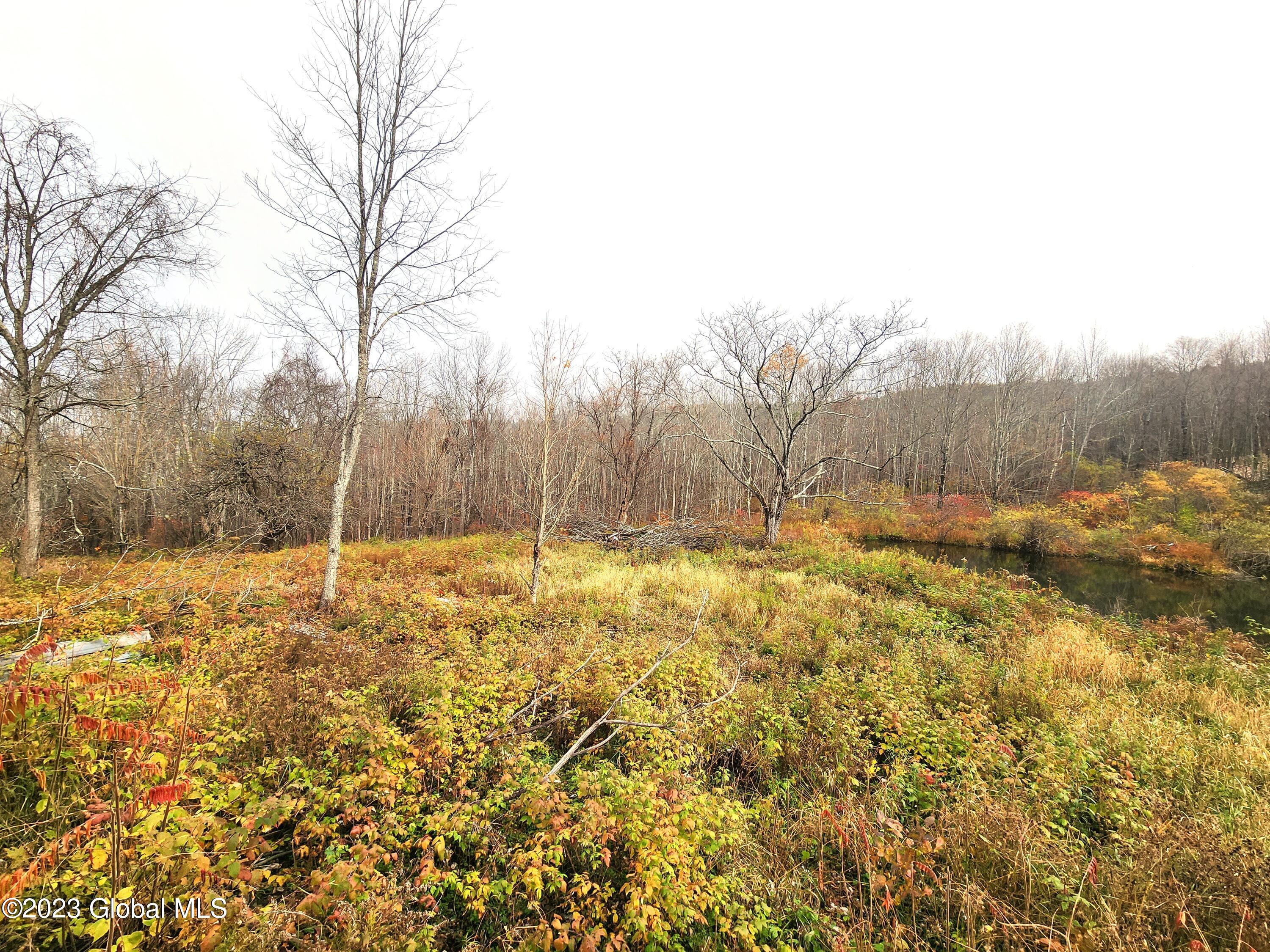 172 Mace Hill Road, Middleburgh, New York image 9