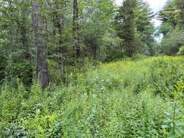 L 17.1 All Peat Beds Road, Earlton, New York image 7