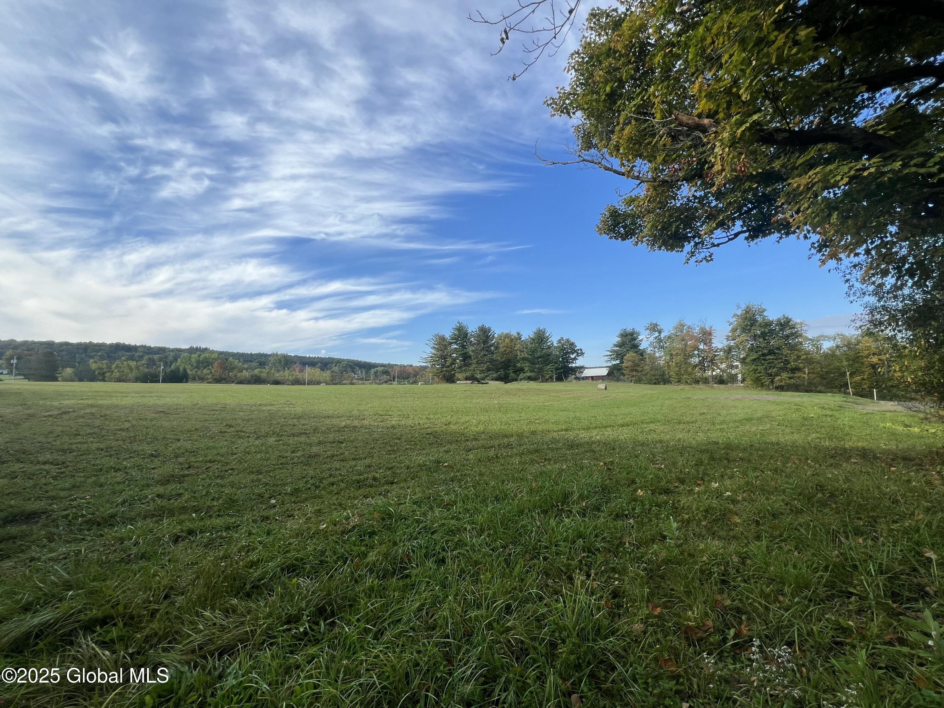 L31 Duanesburg Road, Delanson, New York image 11