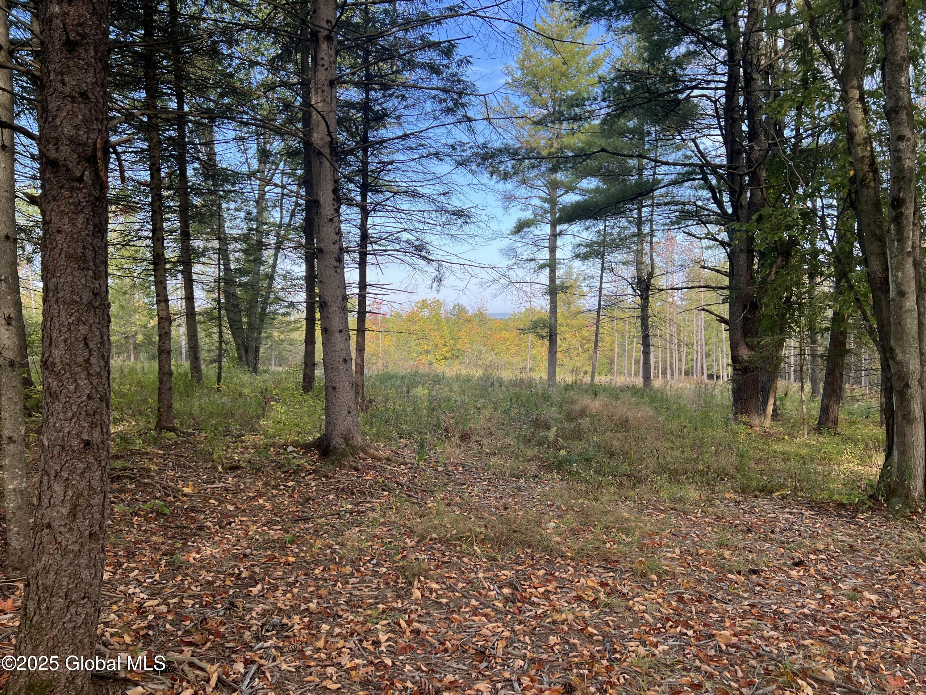 L31 Duanesburg Road, Delanson, New York image 9