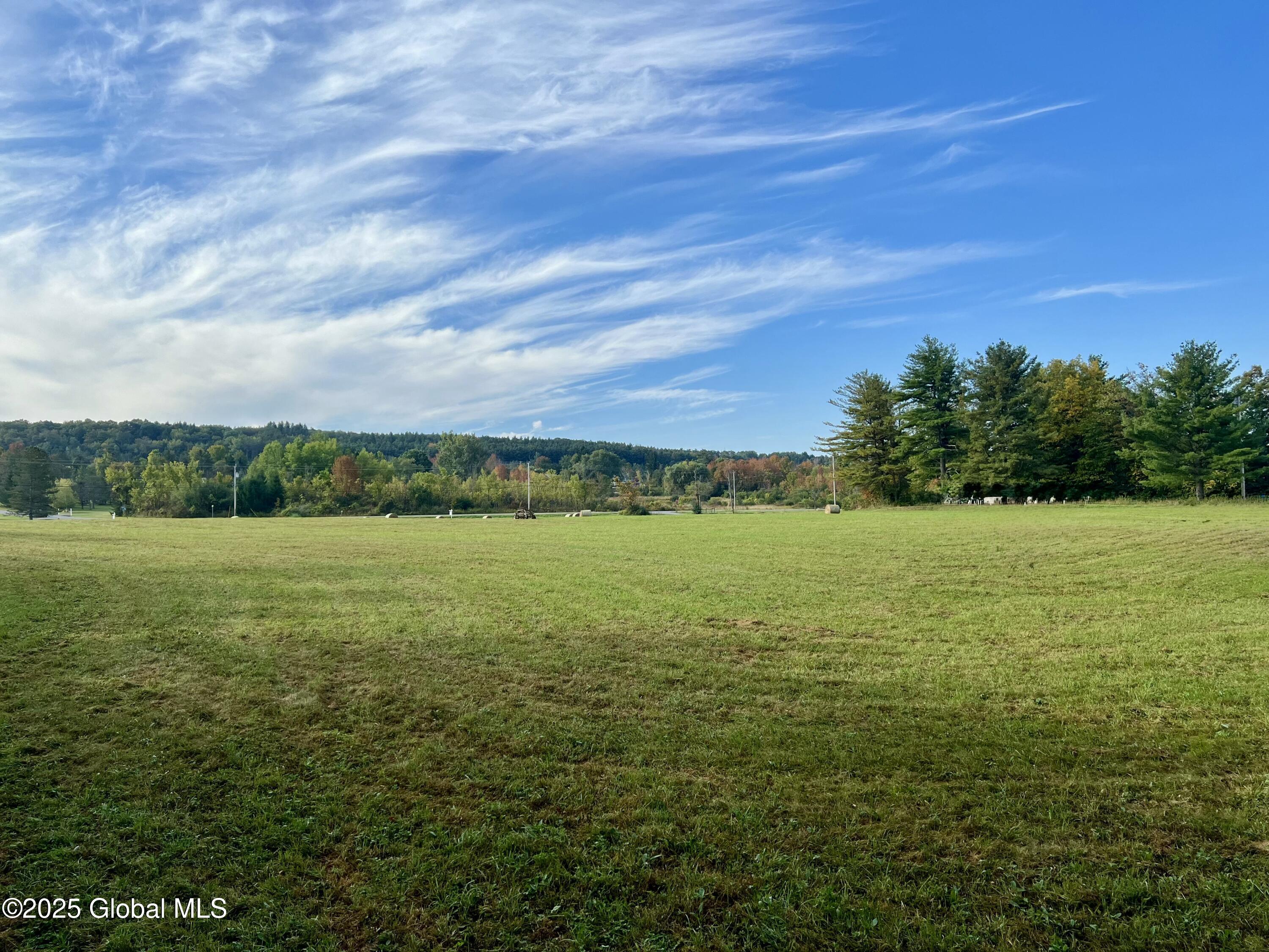 L31 Duanesburg Road, Delanson, New York image 10
