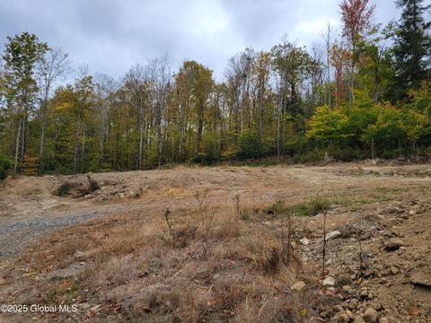Vacant Land For Sale - 126 Rivers Edge Road<br/> Esperance, NY 12066