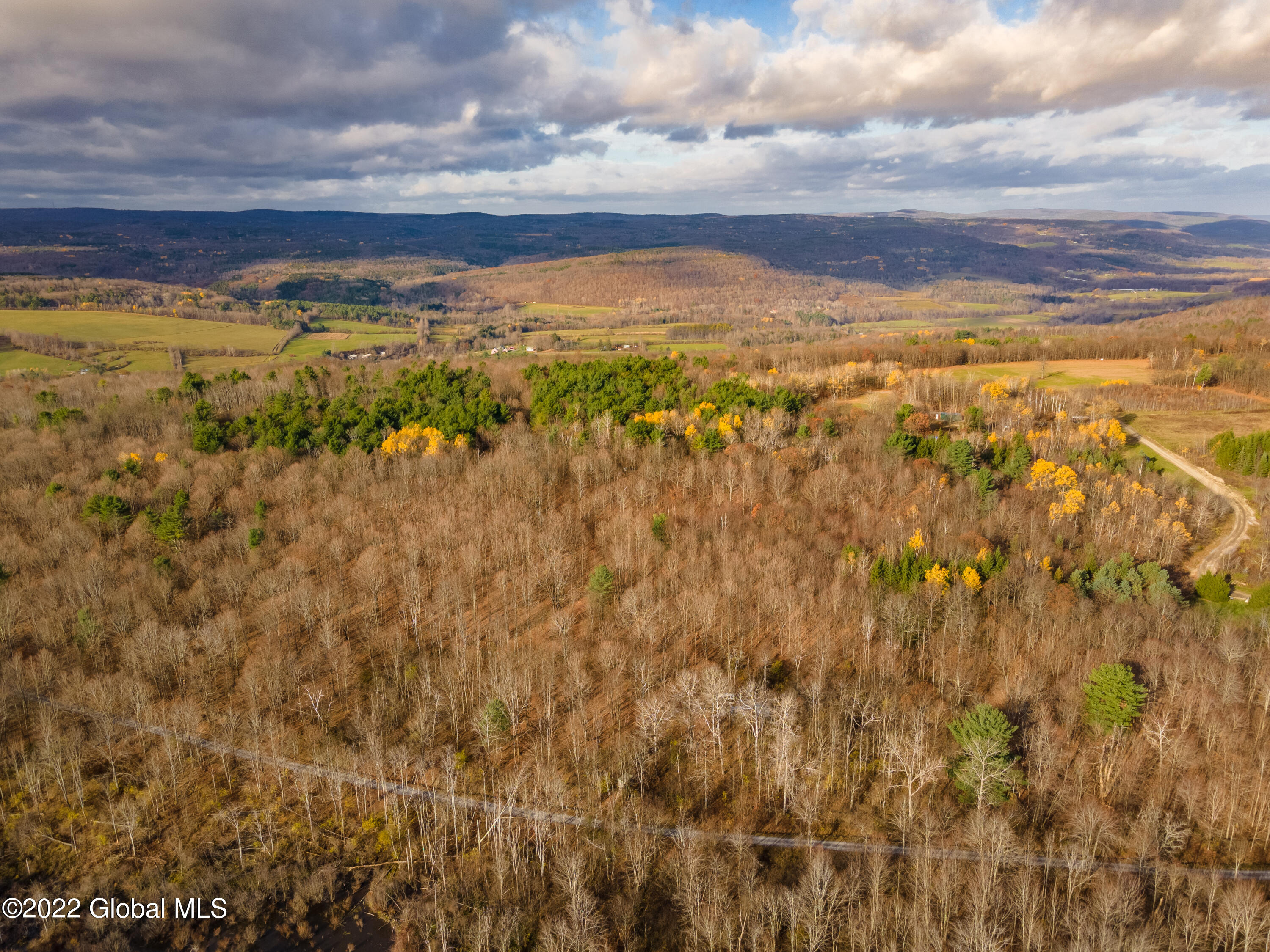 L1 W Woodstock Road, Berne, New York image 1