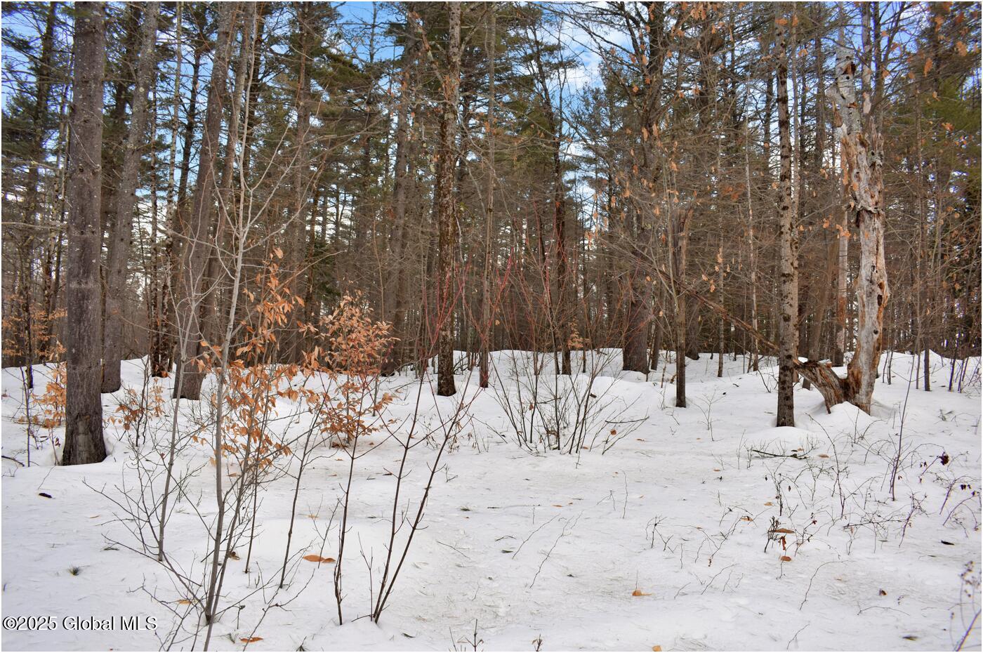 L91 Highview Lane #LOT 7, Wevertown, New York image 6