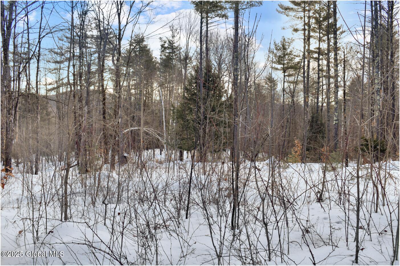 L91 Highview Lane #LOT 7, Wevertown, New York image 12
