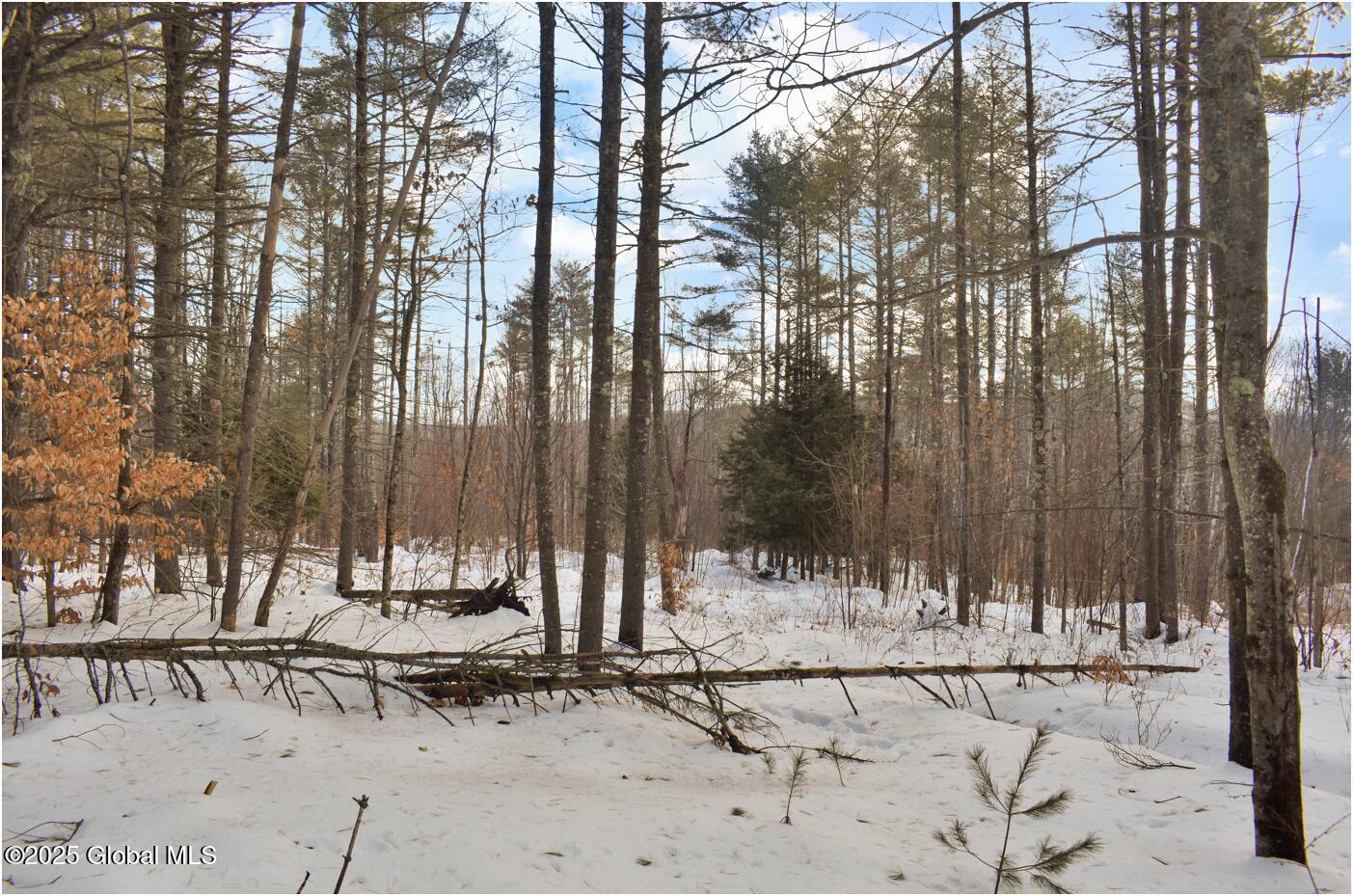 L91 Highview Lane #LOT 7, Wevertown, New York image 8